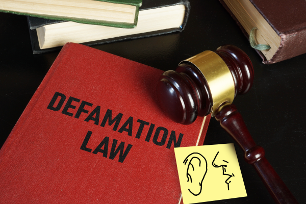 Defamation Law